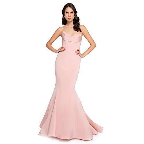 Terani Couture Timeless Feminine Elegance Long Dress (12) Blush