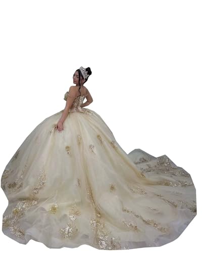 Ball Gown Champagne Wedding Bridal Dresses for Women with Long Train Gold 3D Floral Flower Gold Lace Applique Crystal Transparent Waist Quinceanera Prom Formal Dress Teens Girls 20W