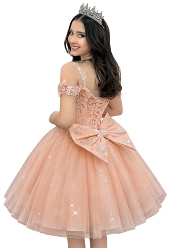 Zhangyo Short Homecoming Dress 2026 Rose Gold DAMA Dress Size 4