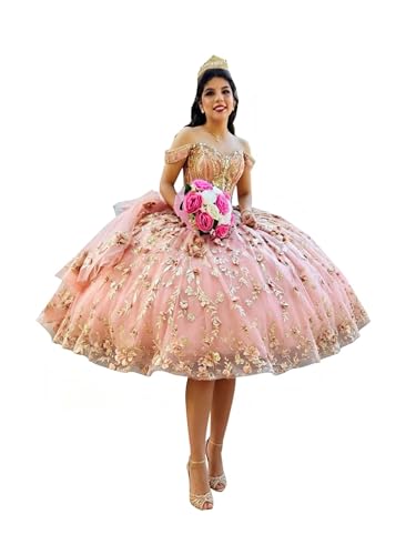 Ball Gown Knee Length Short Mini Quinceanera Prom Party Cocktail Homecoming Dresses Sparkle Tulle Floral Flower Drop Waist for Girls Women Damas XV Designer See Through Rose Gold 12