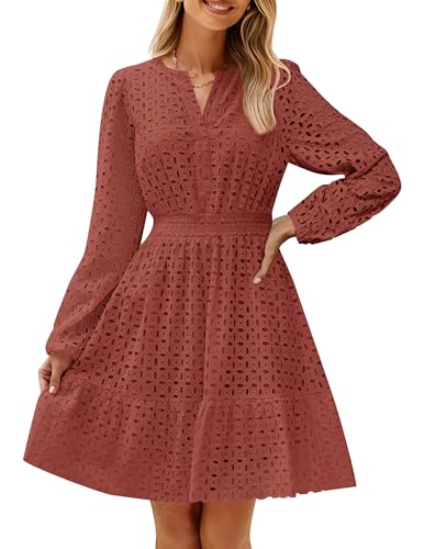 ZESICA Womens Fall Long Sleeve Eyelet Embroidery Mini Dress Rust L