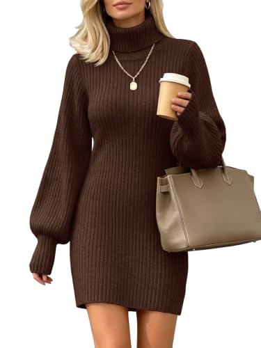 Saodimallsu Womens Sweater Dress Turtleneck Long Sleeve Knit Mini Dress