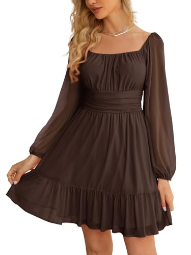 Wenrine Women's Mesh Long Sleeve Dress A Line Flowy Casual Mini Dresses