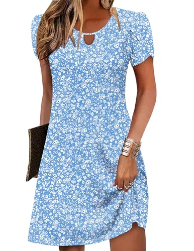 Zeagoo Women's Casual Dresses Summer Beach Dress with Pockets Casual Sundresses Women Loose T-Shirt Dress Short Sleeve Shift Dresses M